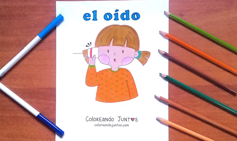 Dibujo del sentido del oído coloreado por Coloreando Juntos