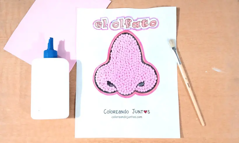 Dibujo del sentido del olfato coloreado por Coloreando Juntos