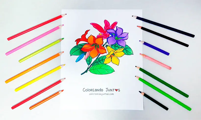 Dibujo de lirio coloreado por Coloreando Juntos