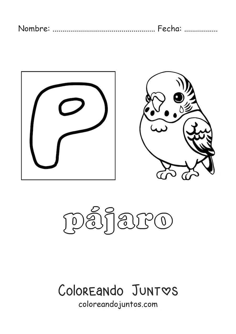 Imagen para colorear de p de pájaro