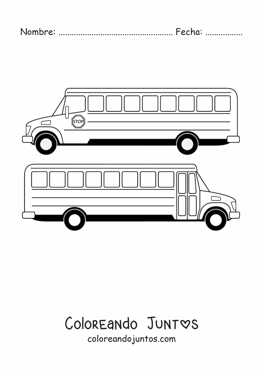 Imagen para colorear de un autobús escolar desde dos ángulos
