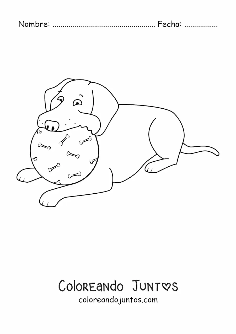 Imagen para colorear de un labrador acostado mordiendo una pelota
