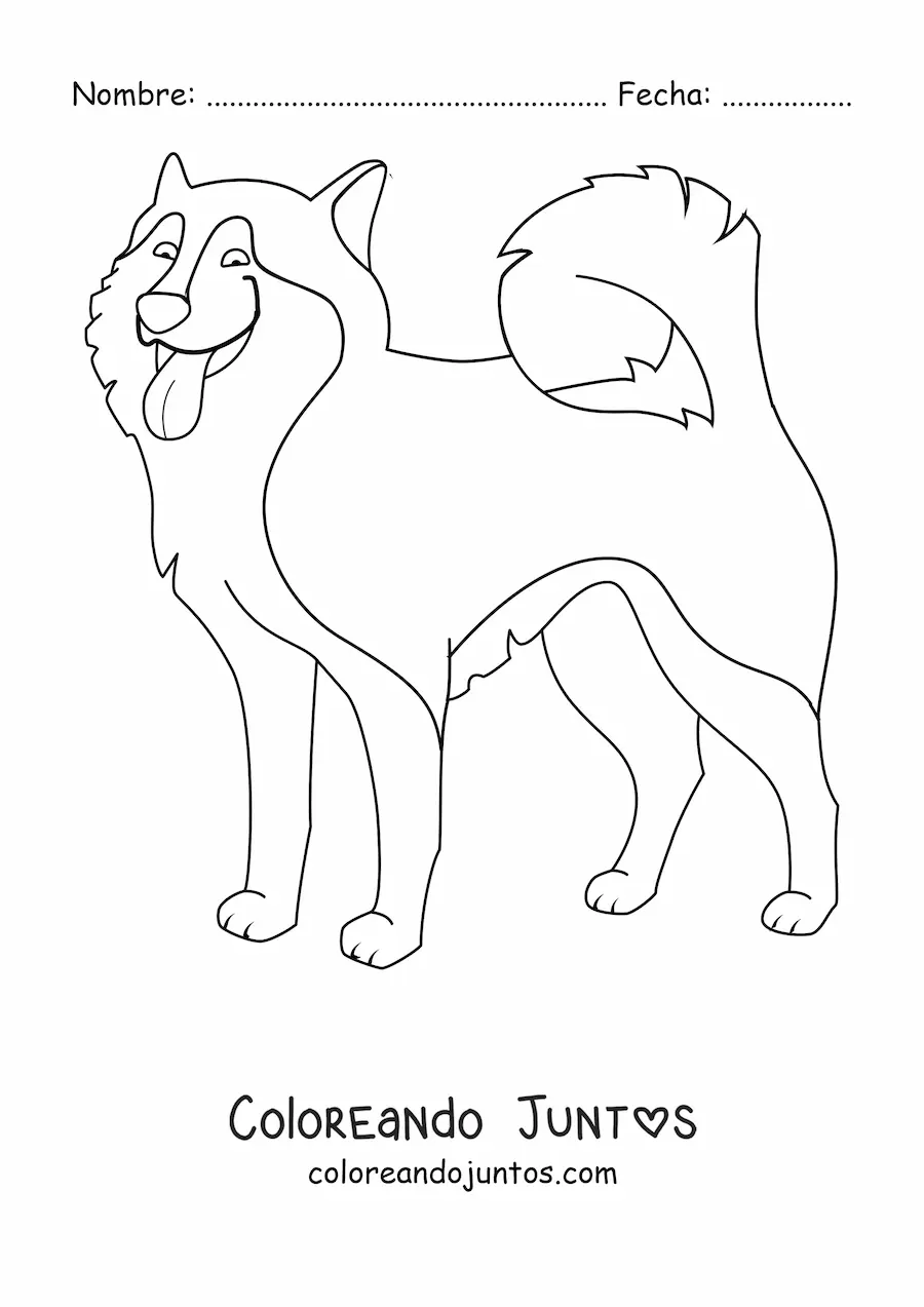 Imagen para colorear de un husky