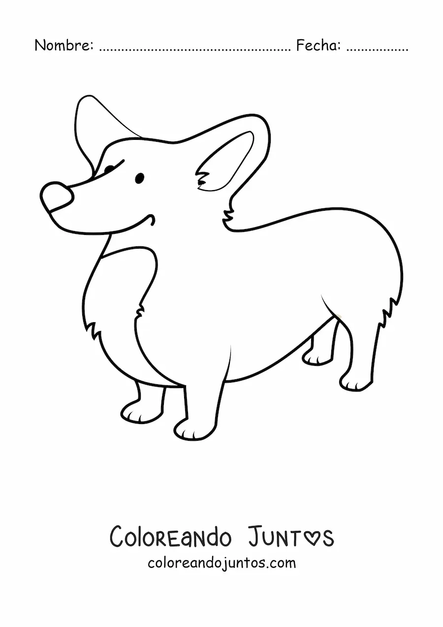 Imagen para colorear de un corgi