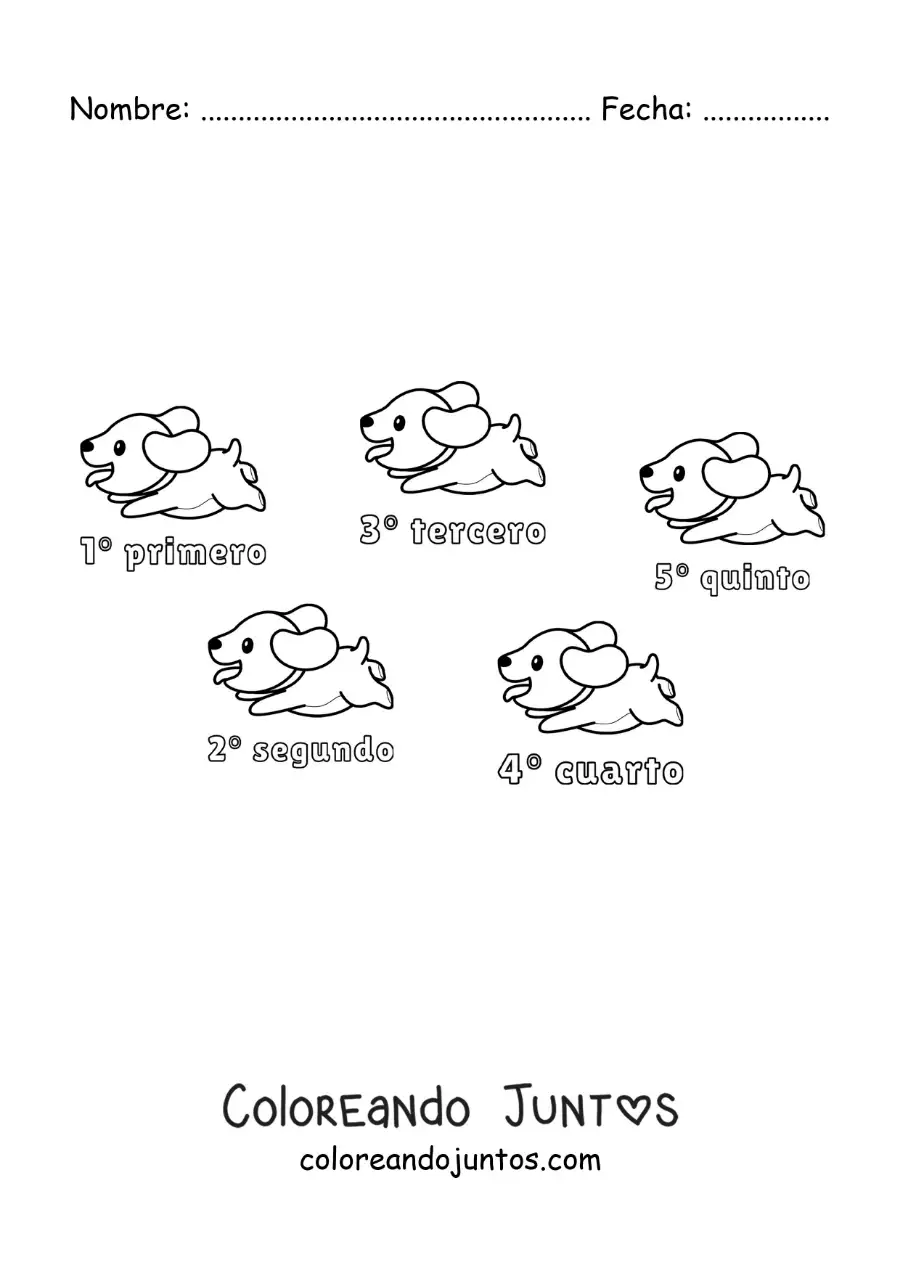 Imagen para colorear de una carrera de perros con los números ordinales del 1 al 5 para niños