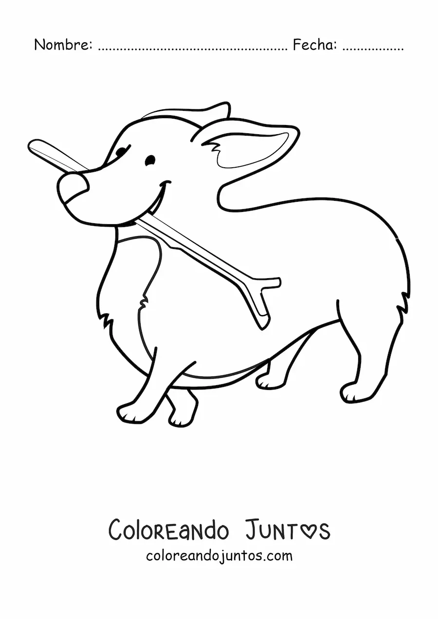 Imagen para colorear de un corgi mordiendo una vara