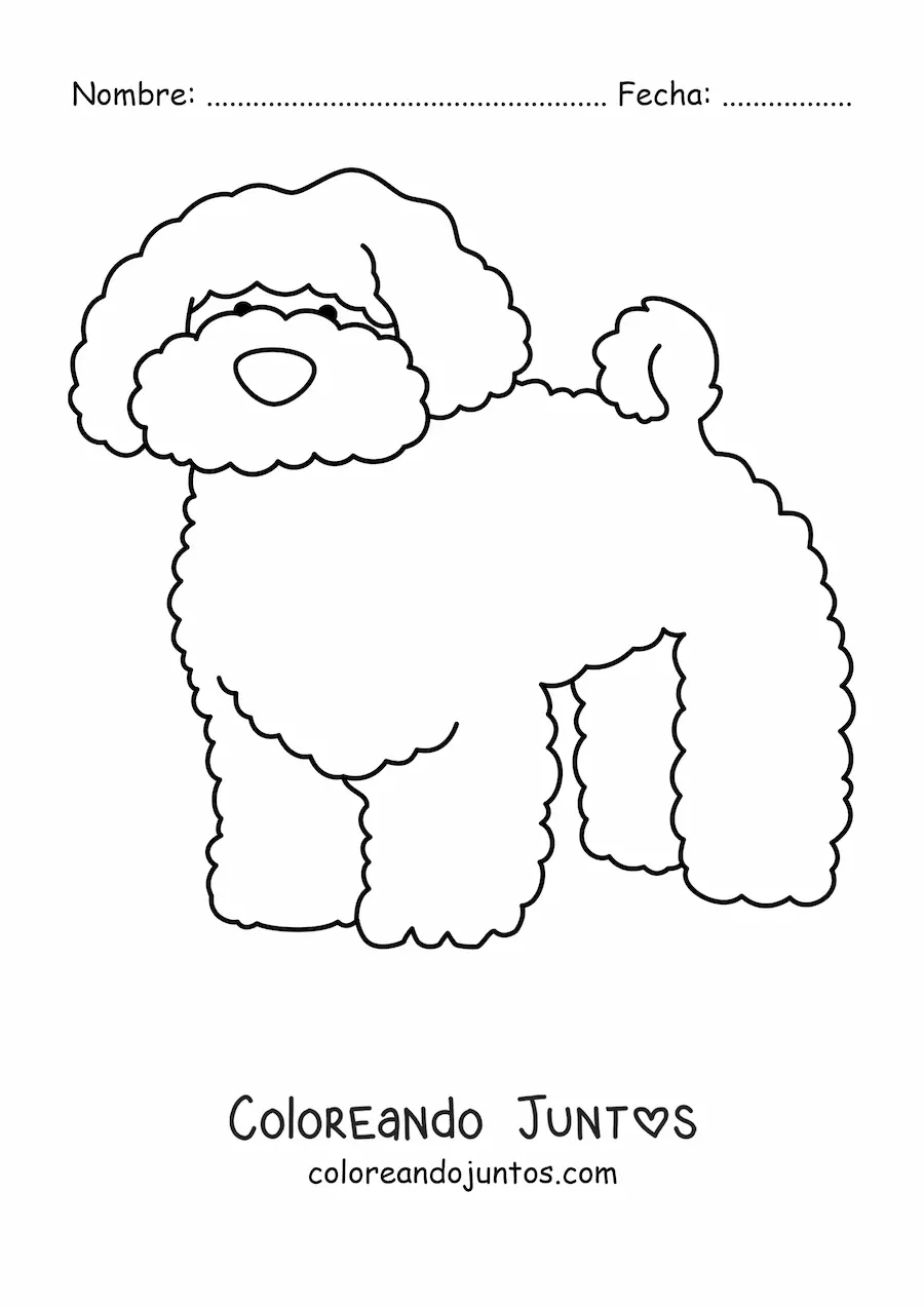 Imagen para colorear de un caniche