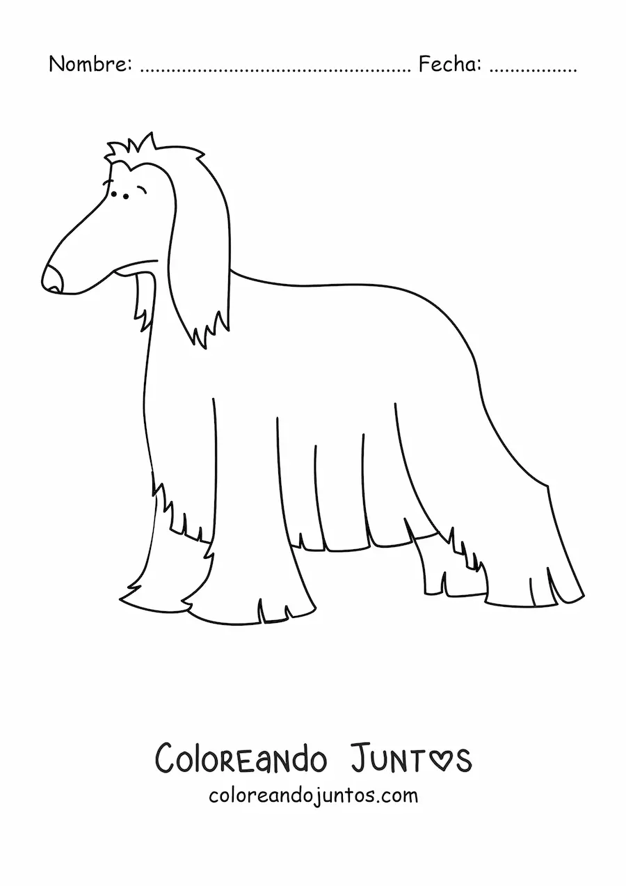 Imagen para colorear de lebrel afgano