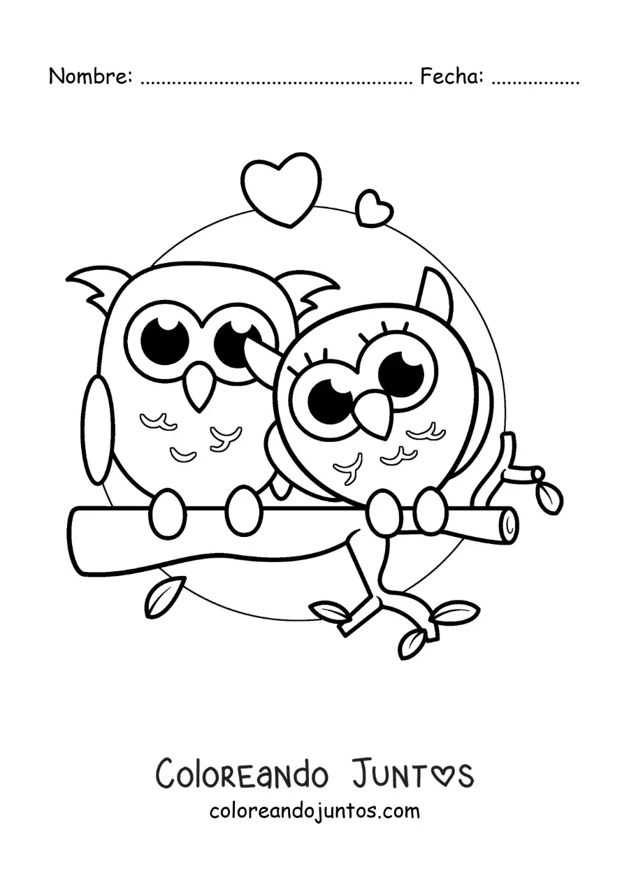 Imagen para colorear de pareja de búhos kawaii enamorados