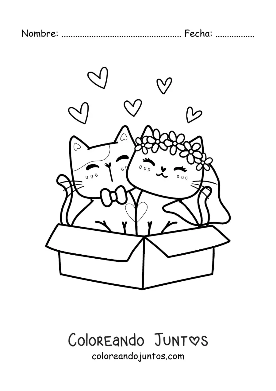 Imagen para colorear de tiernos gatitos recién casados sentados en una caja
