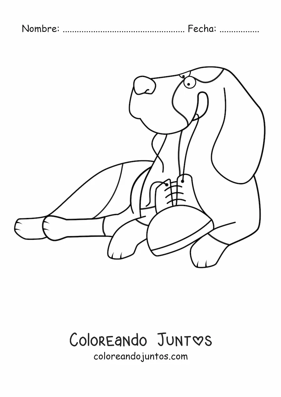 Imagen para colorear de un basset hound acostado jugando con un zapato