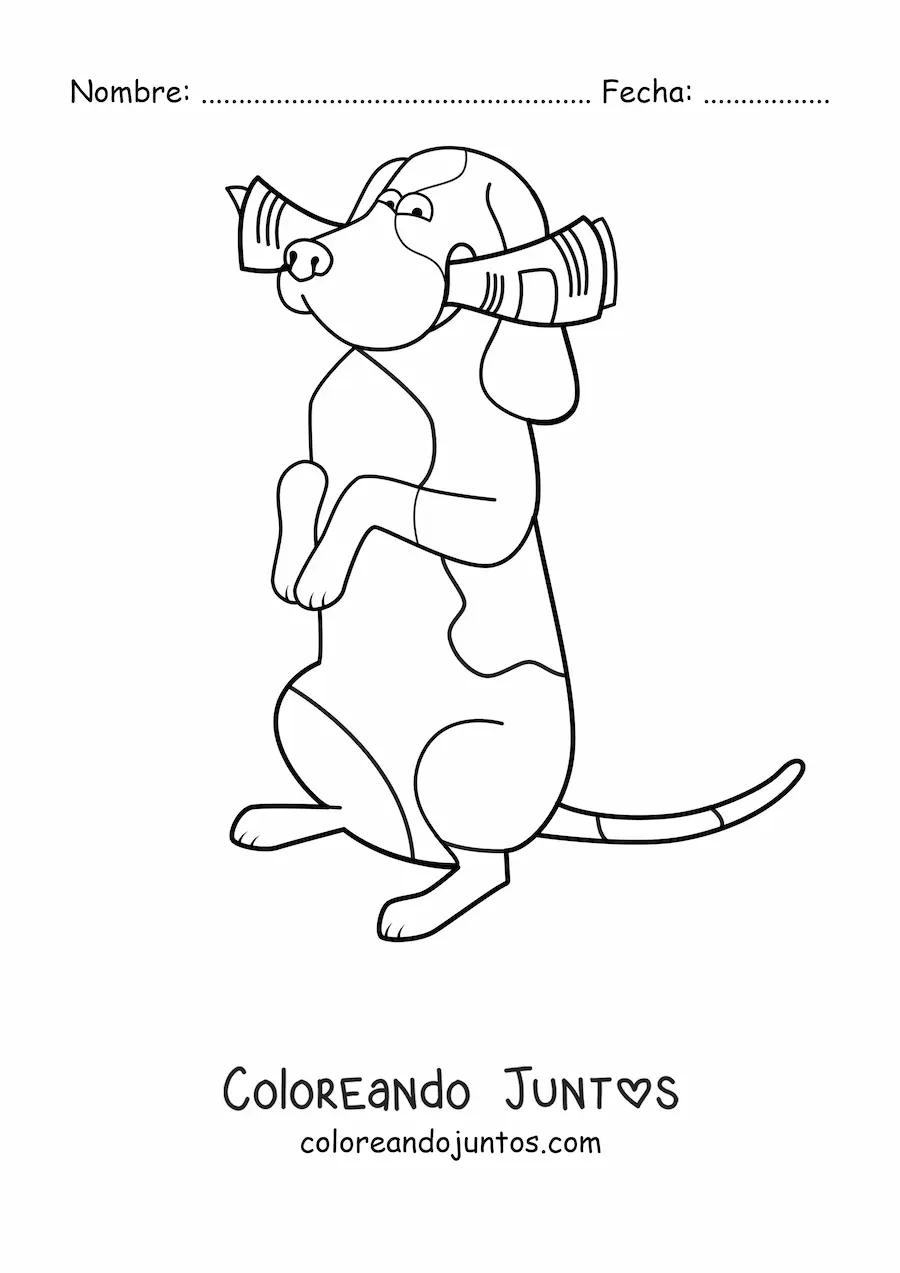 Imagen para colorear de un basset hound en dos patas mordiendo un diario