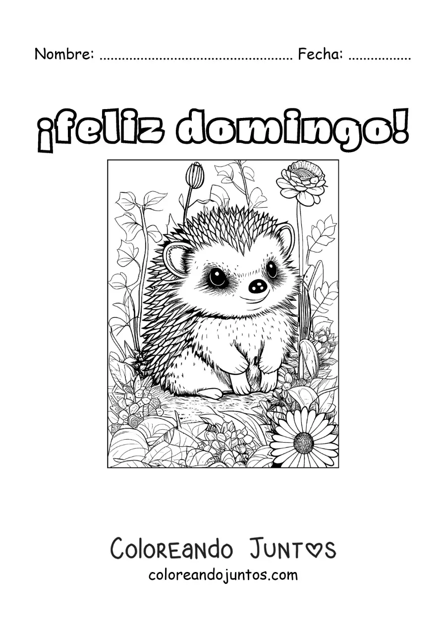 Imagen para colorear de feliz domingo con un puercoespín tierno