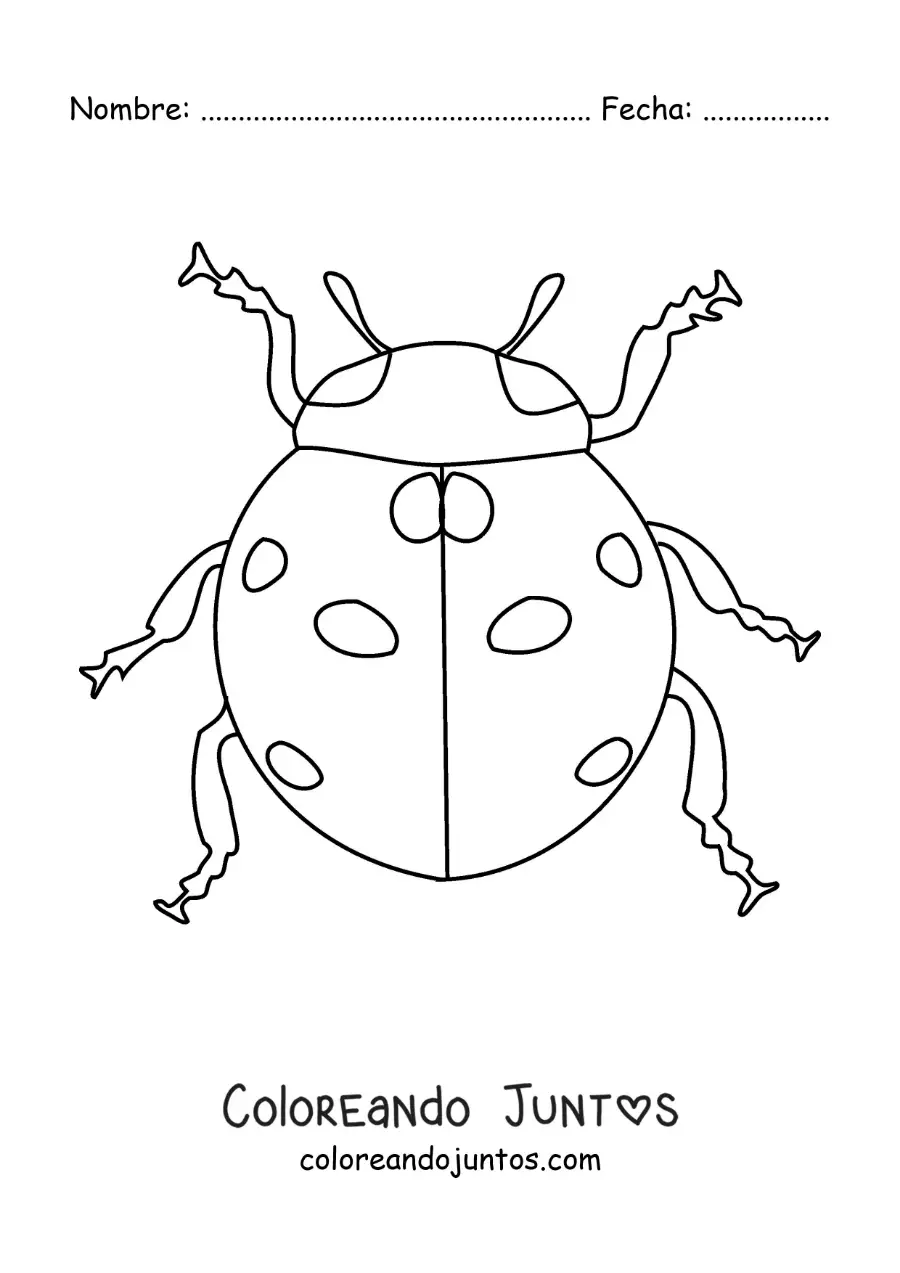 Imagen para colorear de una mariquita realista
