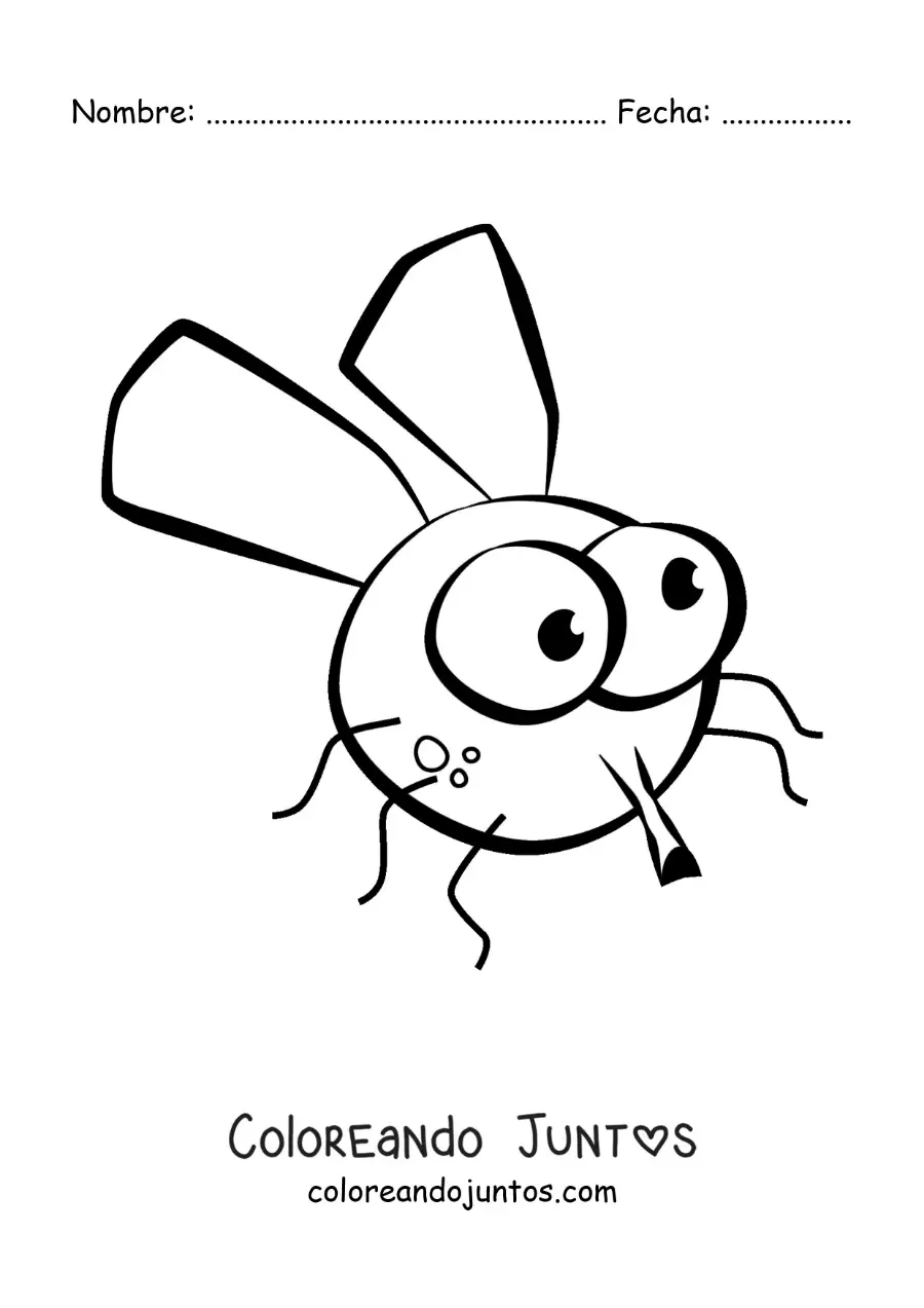 Imagen para colorear de una mosca graciosa fácil