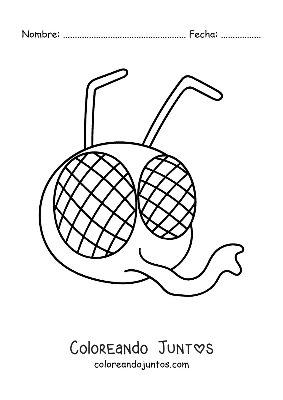 Imagen para colorear de la cara de una mosca