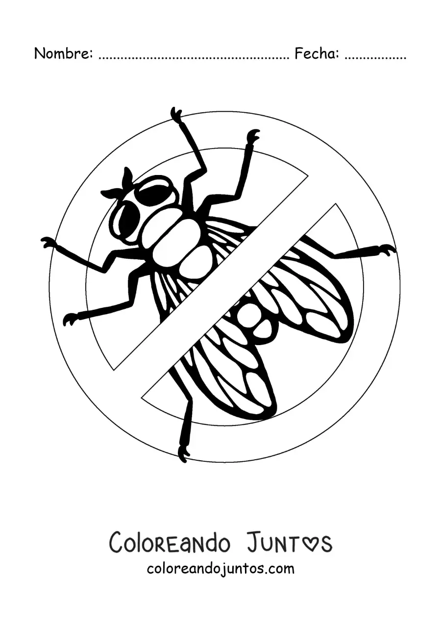 Imagen para colorear de señal de prohibido moscas