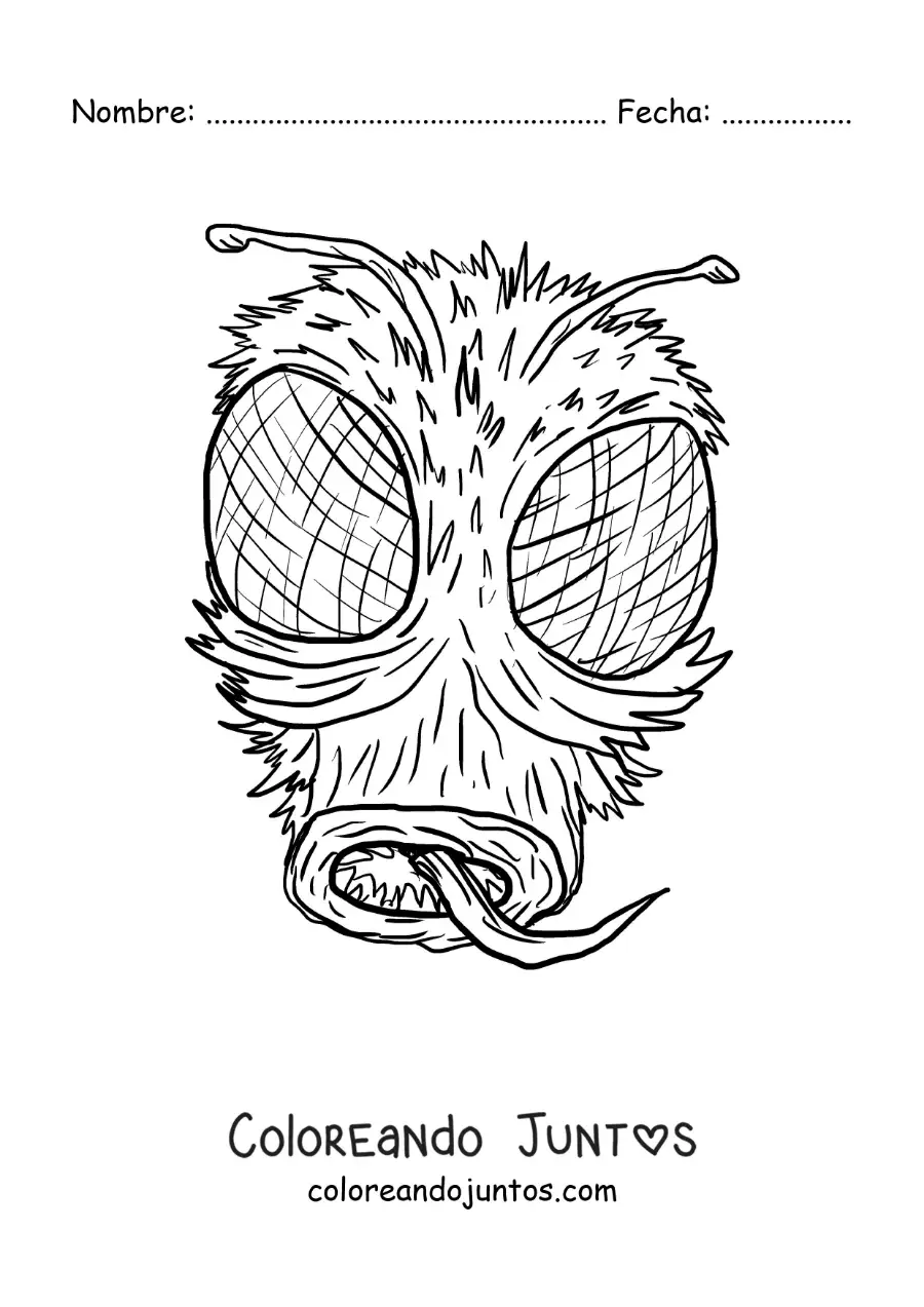Imagen para colorear de cara de una mosca aterradora