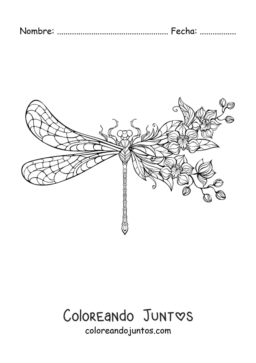 Imagen para colorear de una hermosa libélula con flores