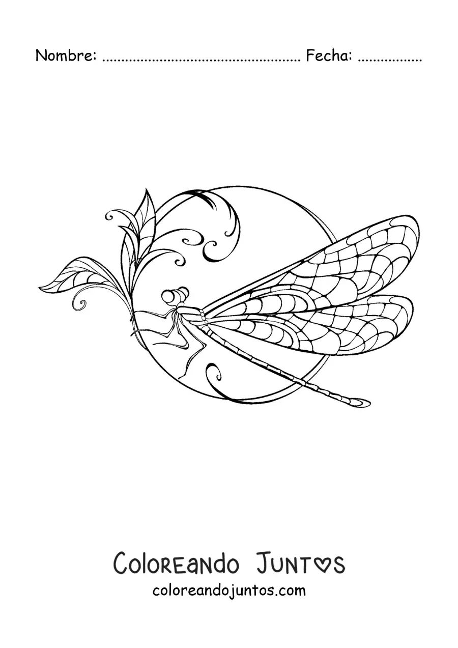 Imagen para colorear de una hermosa libélula en una flor