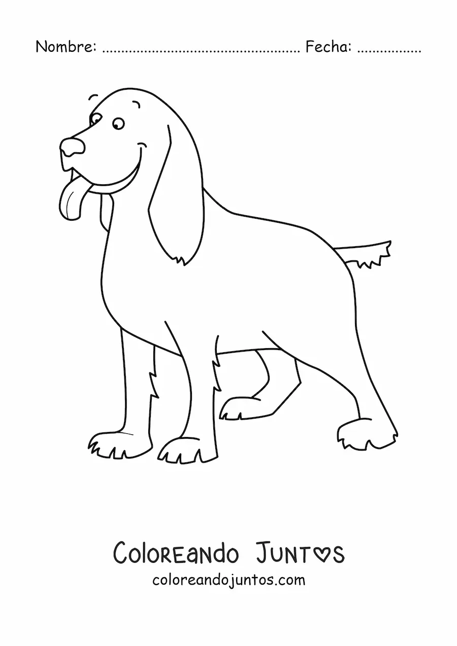 Imagen para colorear de un cocker spaniel