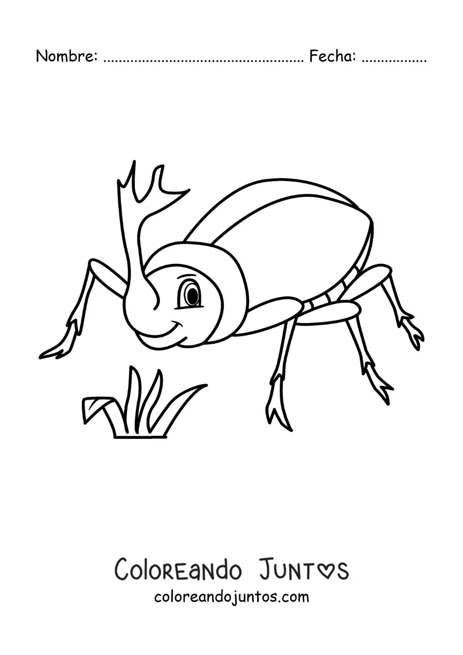 Imagen para colorear de escarabajo rinoceronte animado