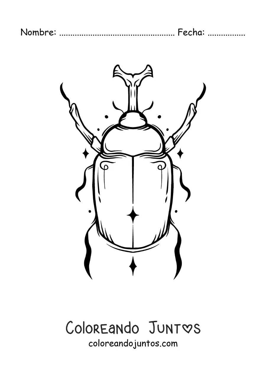 Imagen para colorear de escarabajo rinoceronte realista
