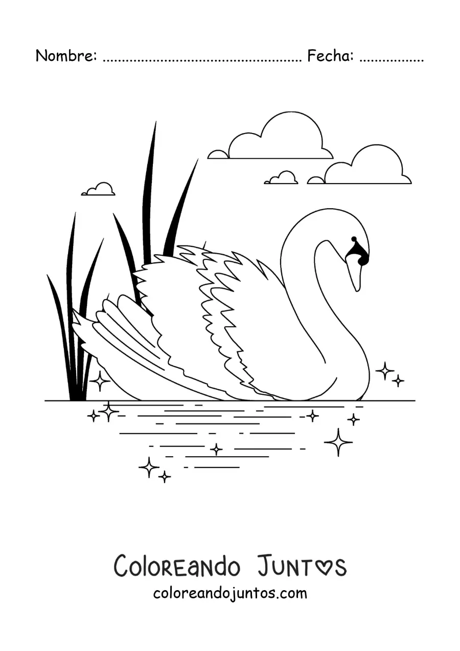 Imagen para colorear de el Patito Feo convertido en cisne