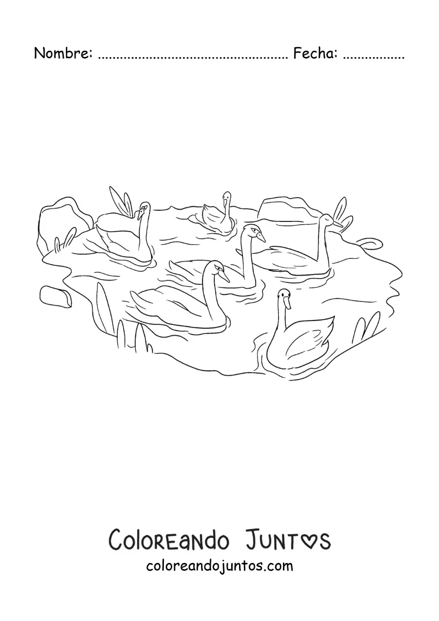 Imagen para colorear de el Patito Feo nadando con los cisnes