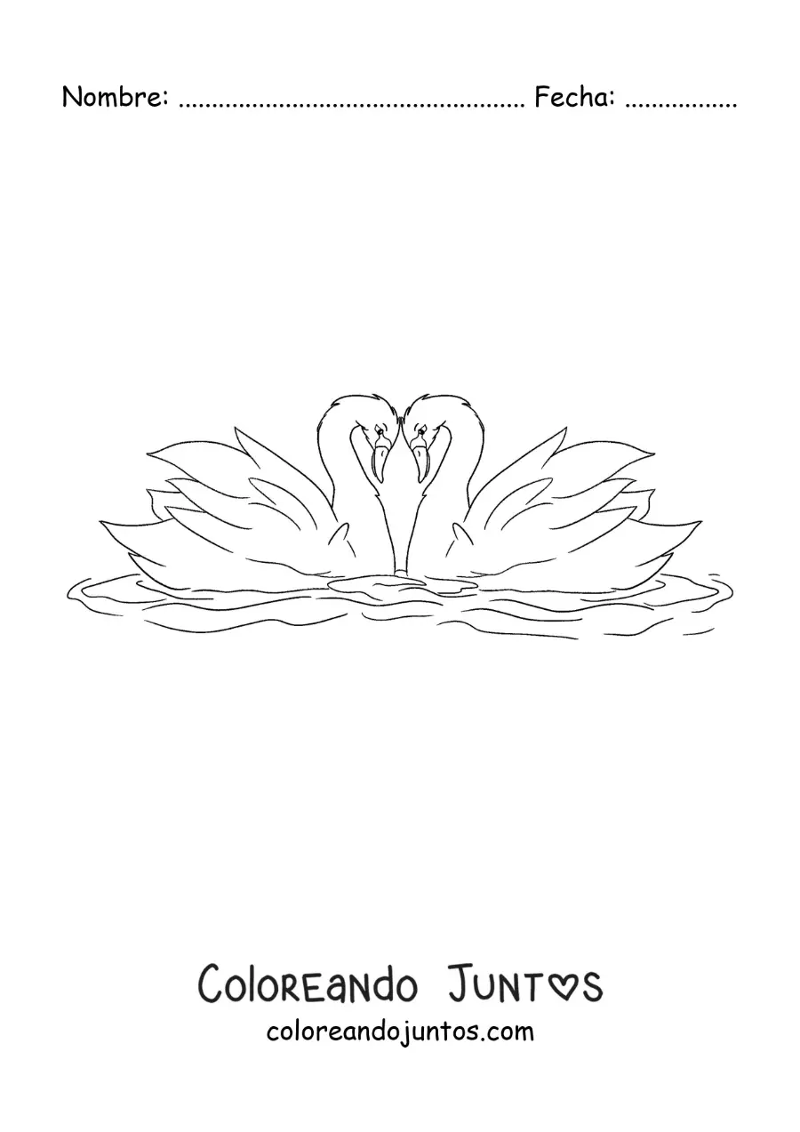 Imagen para colorear de el Patito Feo convertido en cisne enamorado