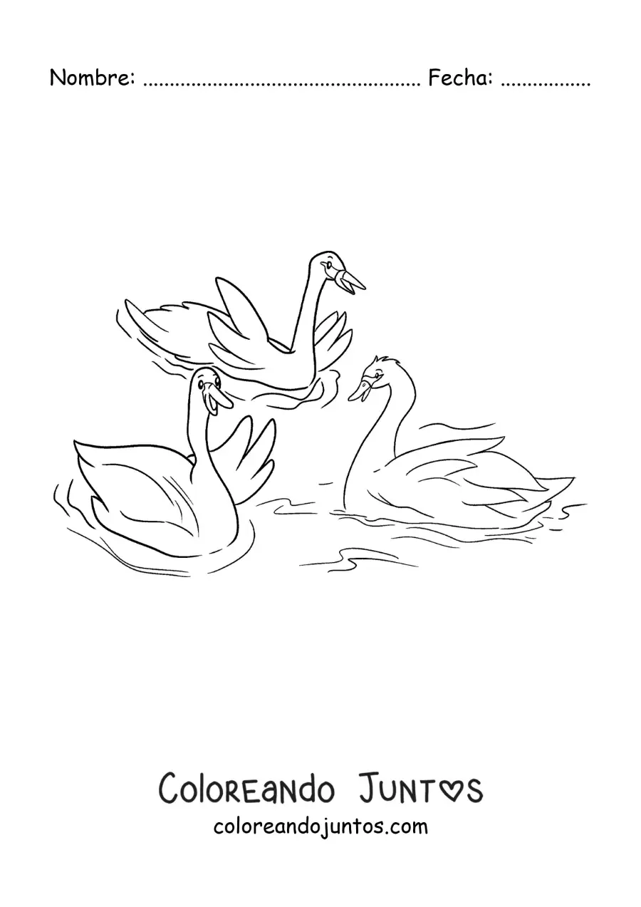Imagen para colorear de el Patito Feo grande uniéndose a los cisnes