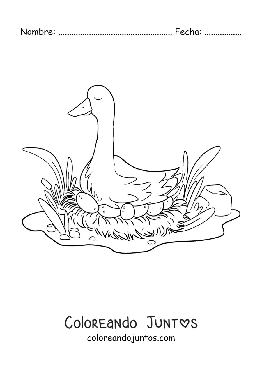 Imagen para colorear de la mamá del Patito Feo empollando sus huevos