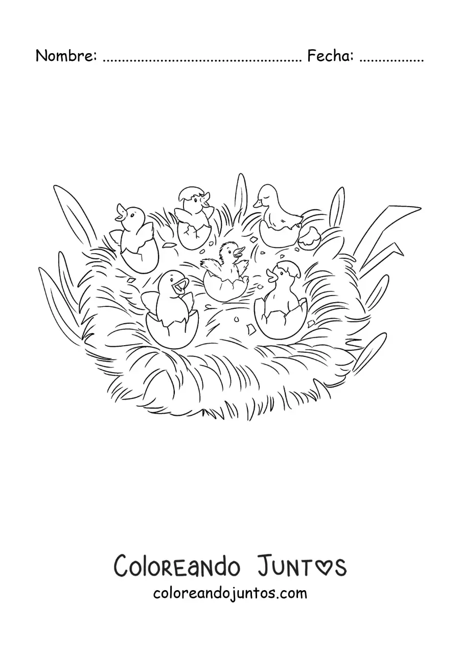 Imagen para colorear de el Patito Feo y sus hermanos rompiendo el cascarón