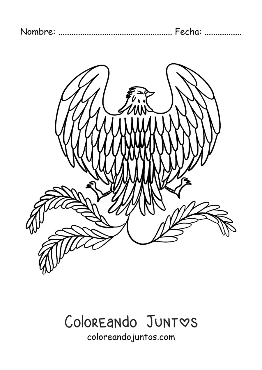 Imagen para colorear de fénix fácil