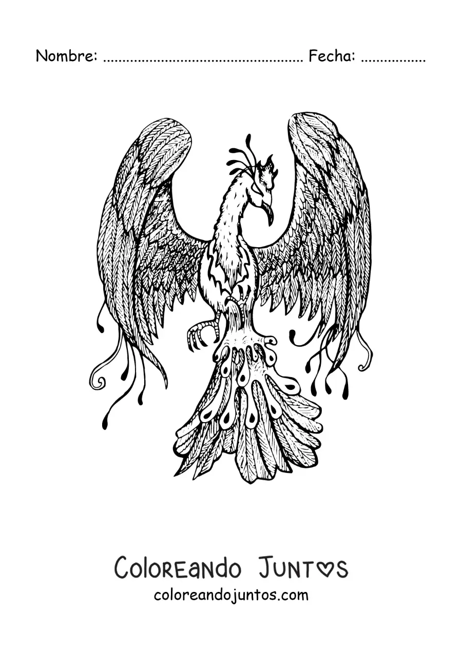 Imagen para colorear de fénix realista