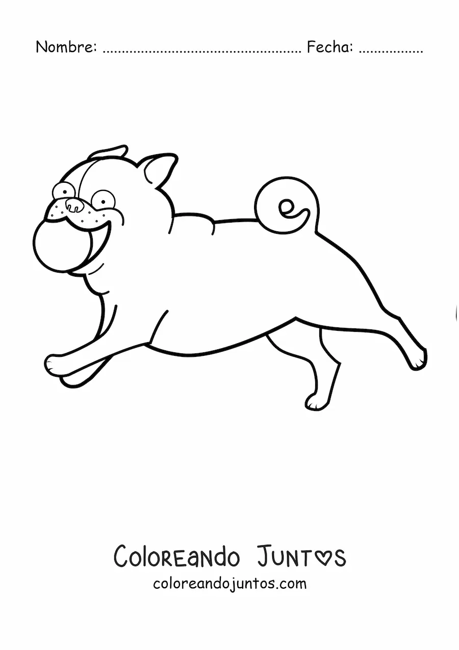 Imagen para colorear de un pug corriendo mordiendo una pelota
