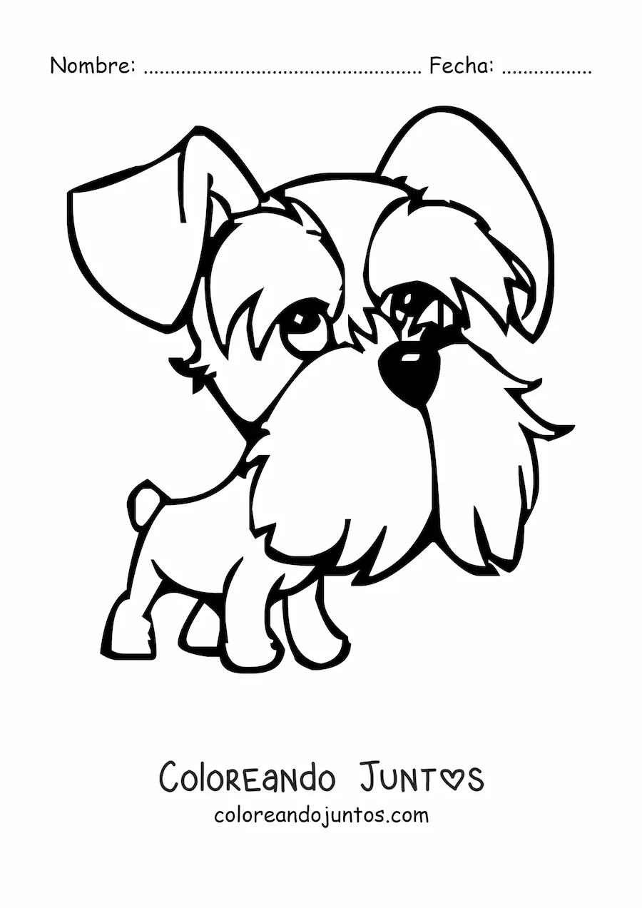 Imagen para colorear de una caricatura de un schnauzer