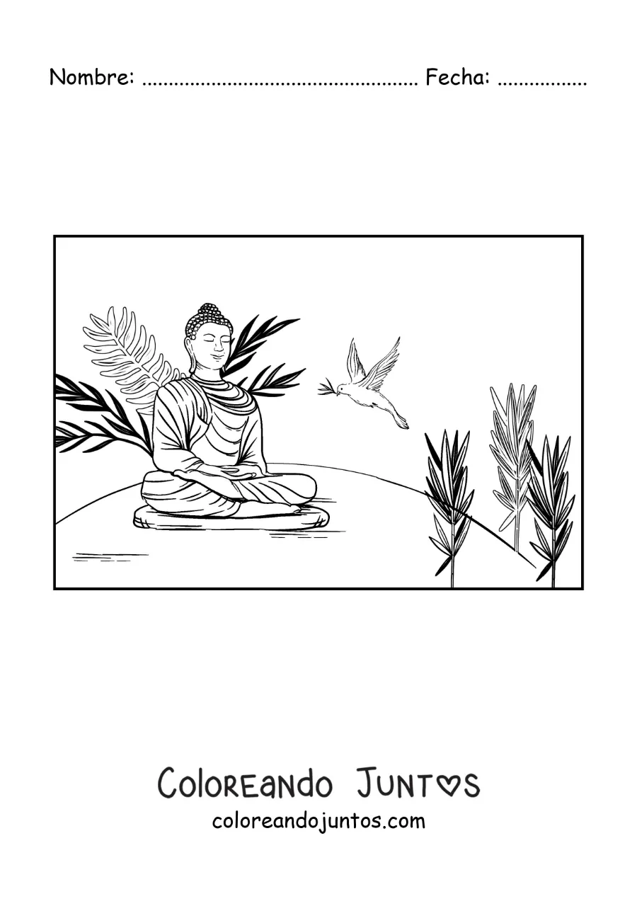 Imagen para colorear de buddha sentado meditando junto a una paloma