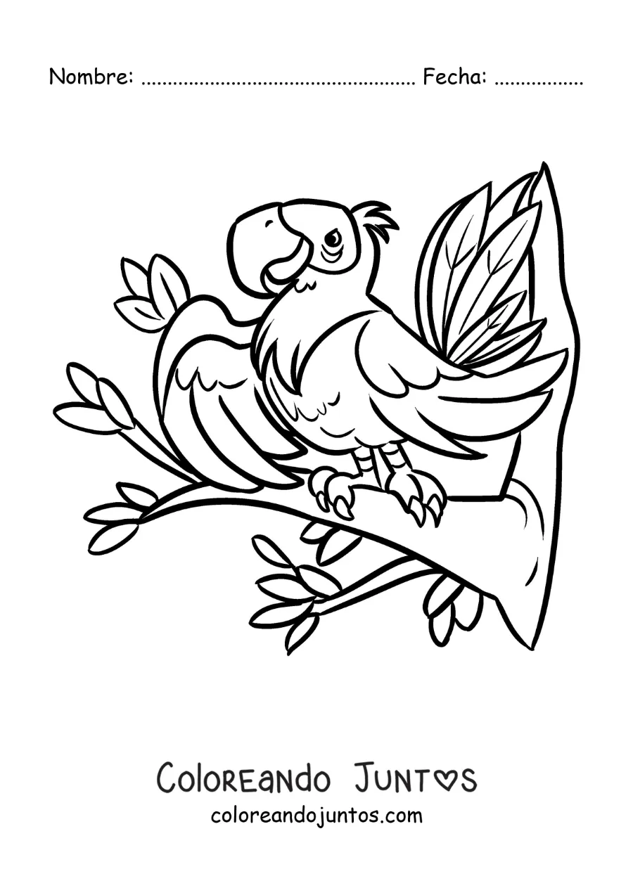 Imagen para colorear de una guacamaya del zoológico animada en un árbol