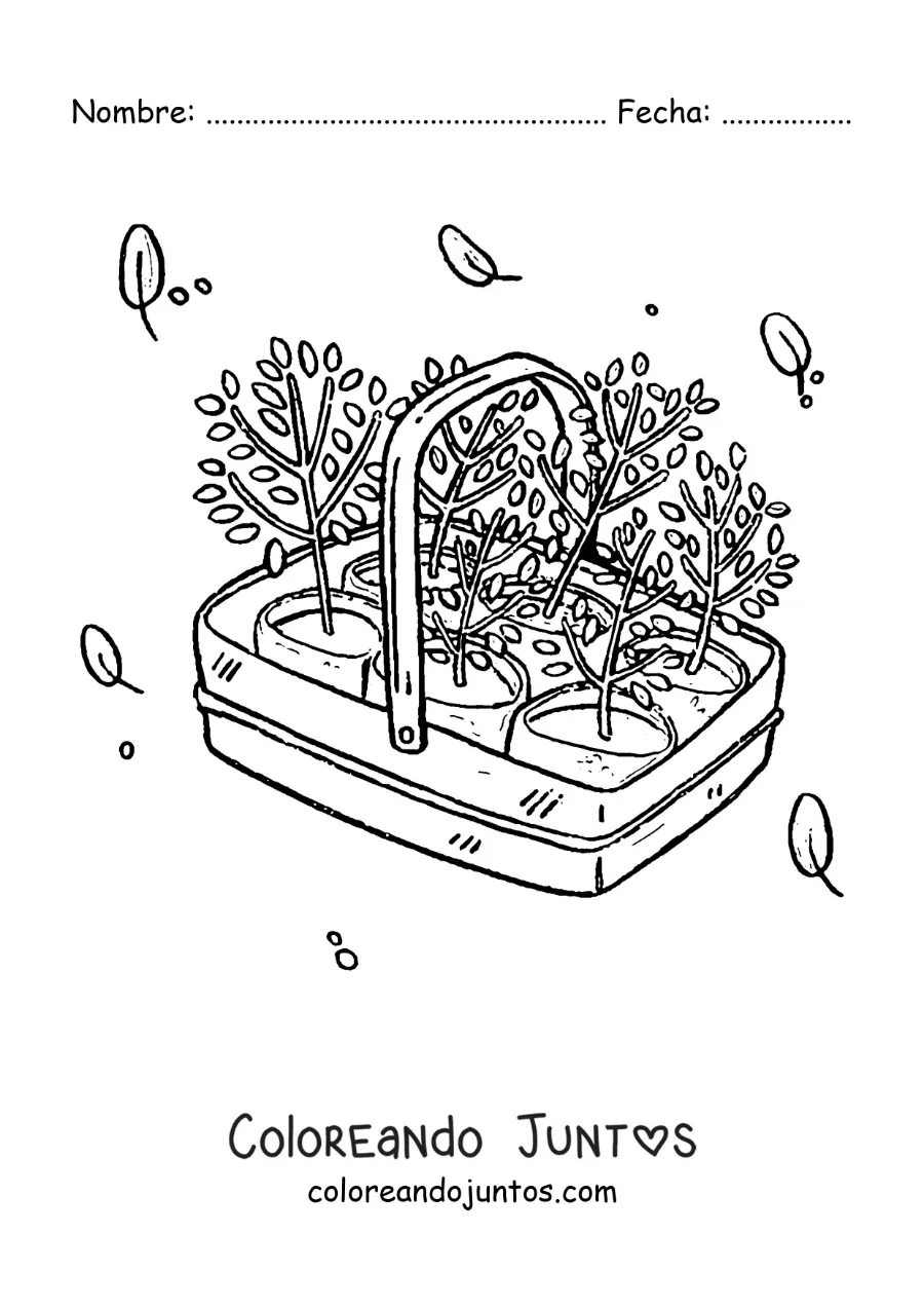 Imagen para colorear de plantas listas para trasplantar en una canasta