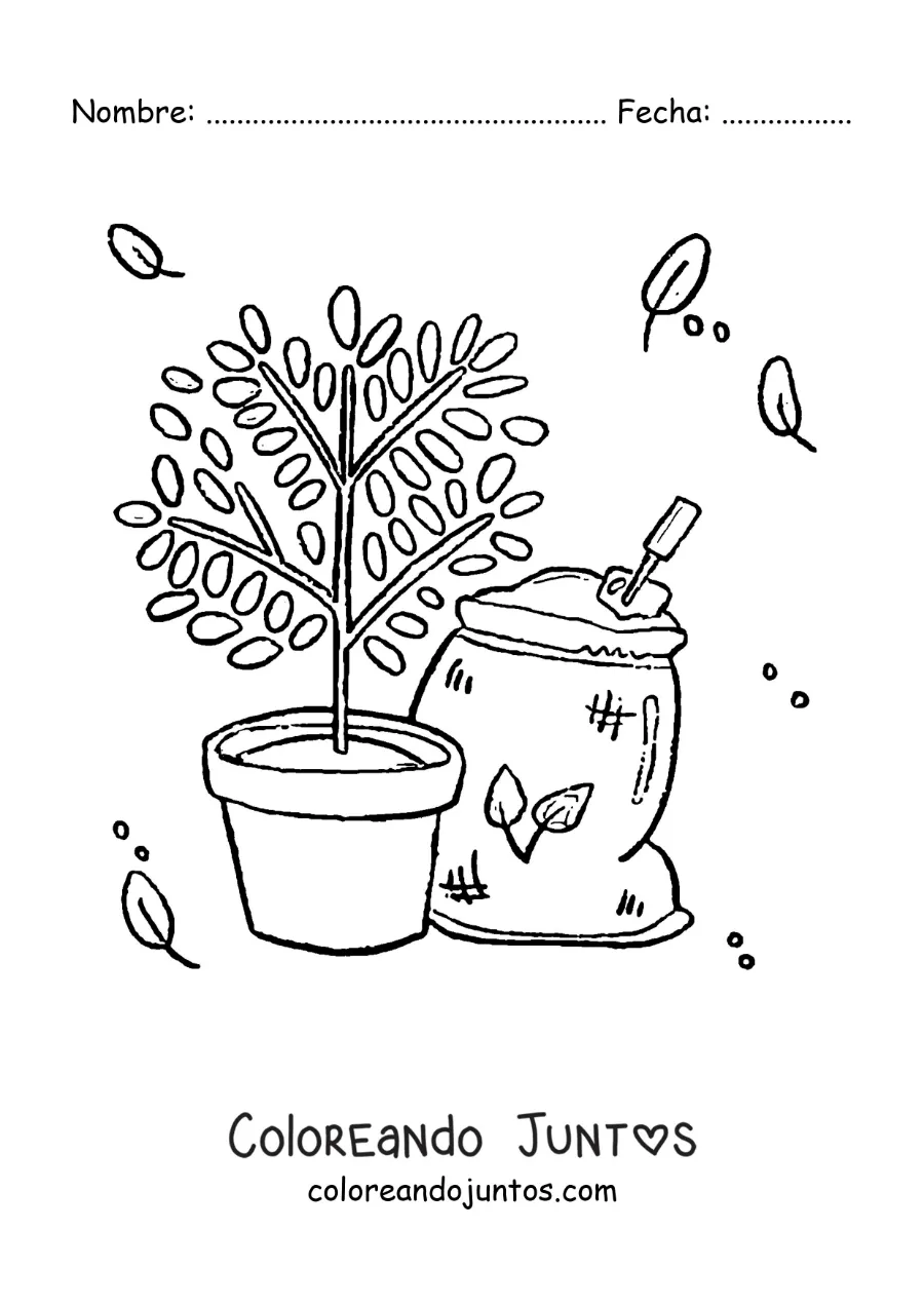 Imagen para colorear de una planta en su maceta junto a un saco de tierra