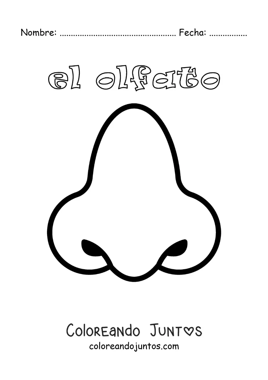 Imagen para colorear de la nariz y el sentido del olfato para niños