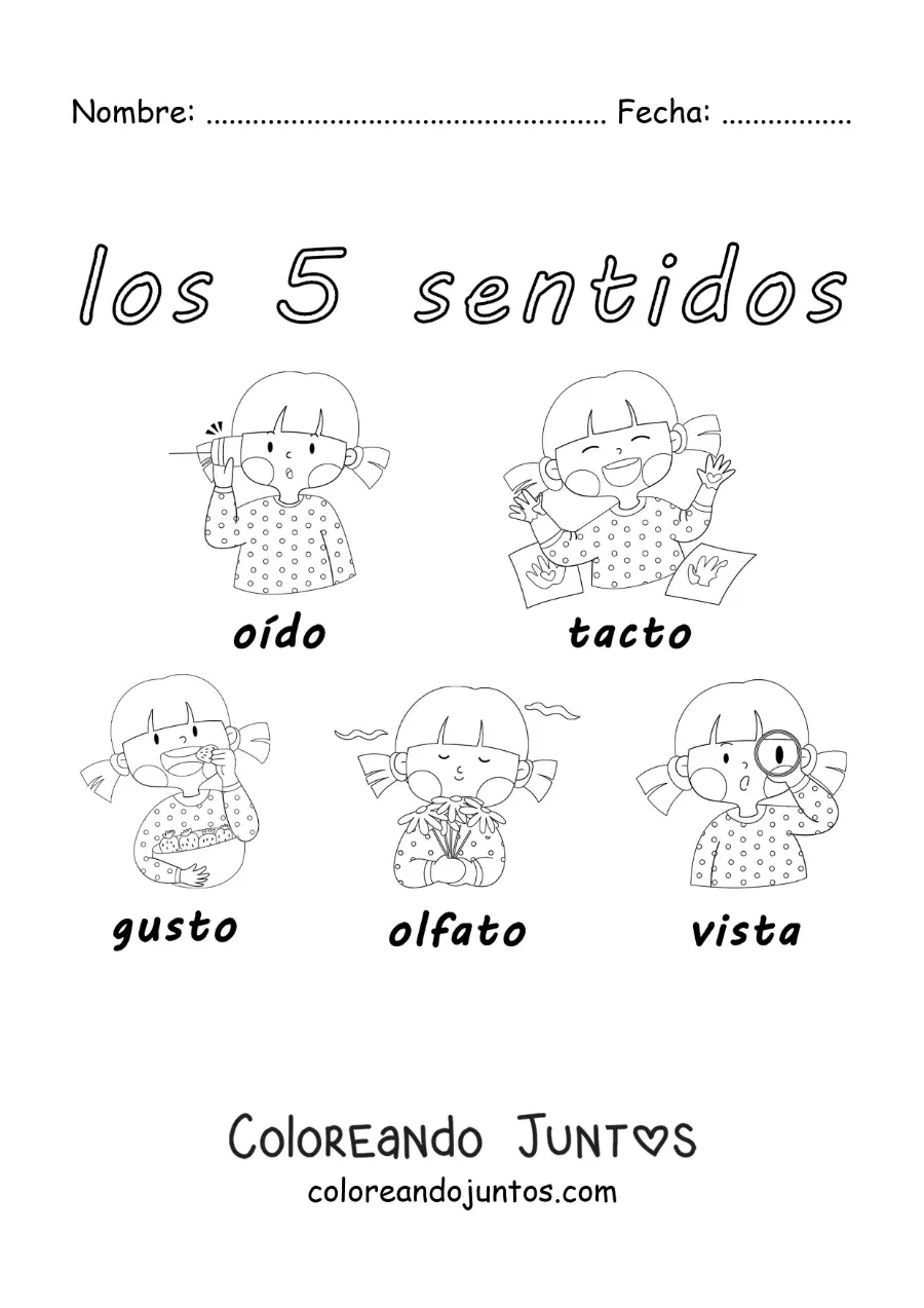 Imagen para colorear de una niña mostrando los 5 sentidos