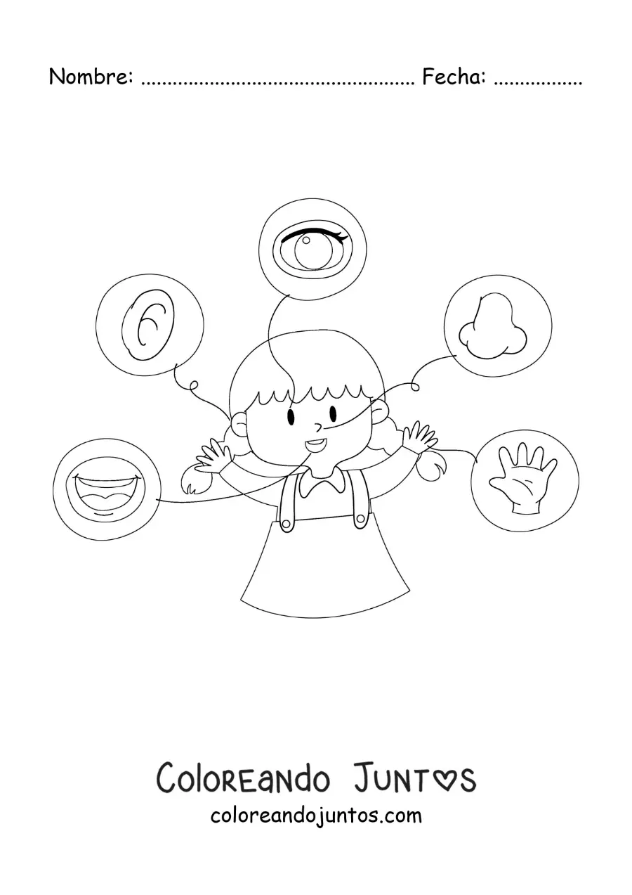 Imagen para colorear de los 5 sentidos señalados en el cuerpo humano