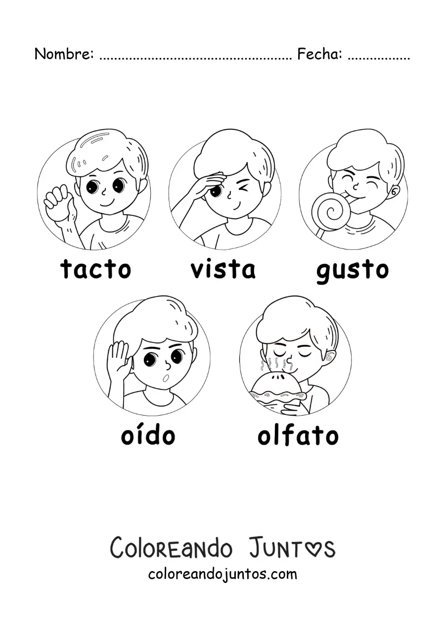 Imagen para colorear de dibujos animados de los cinco sentidos para niños