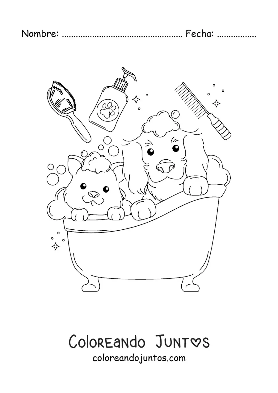 Imagen para colorear de un perro y un gato tiernos tomando un baño