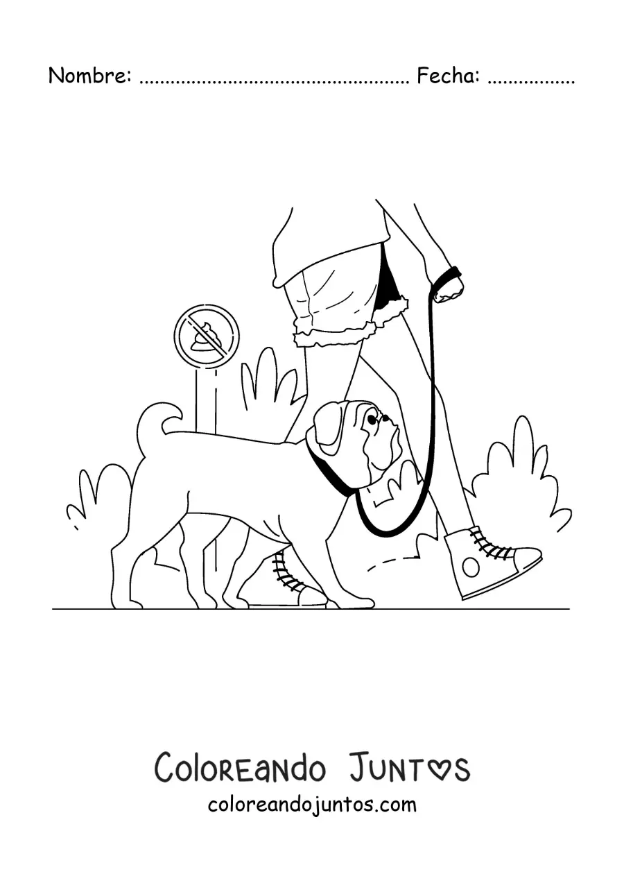 Imagen para colorear de una chica paseando a su perro por el parque