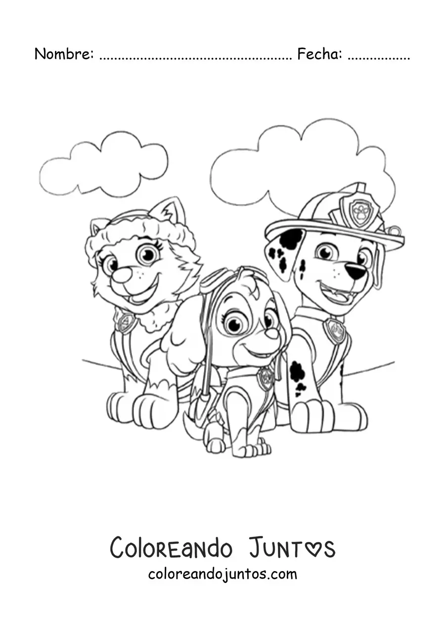 Imagen para colorear de Everest Skye y Marshall de Paw Patrol