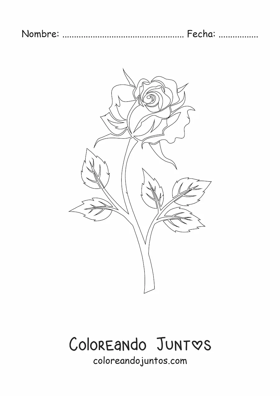 Imagen para colorear de una rosa con tallo