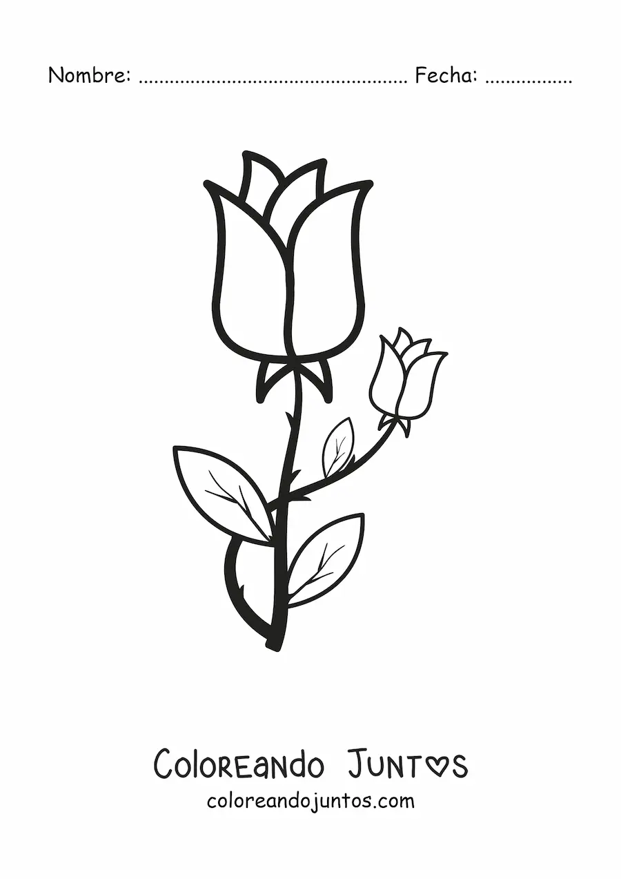 Imagen para colorear de dos rosas con espinas